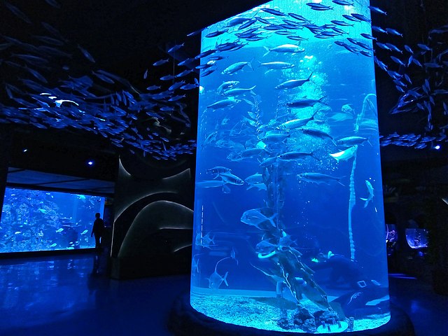 Jakarta Aquarium