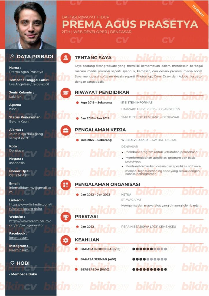 Template CV Sanur